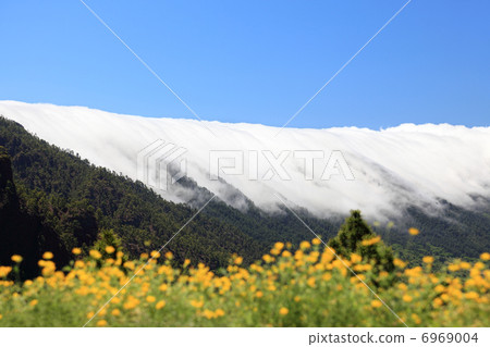 La Palma, Canary Islands La Palma, Canary Islands 6969004