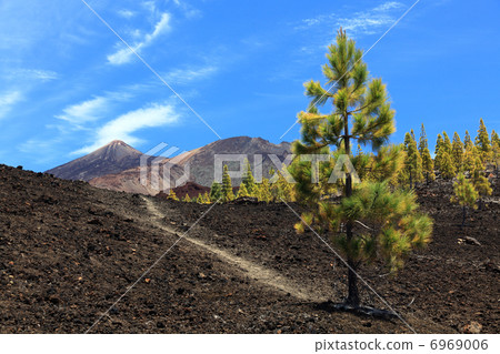 Tenerife volcano teide landscape Tenerife volcano teide landscape 6969006