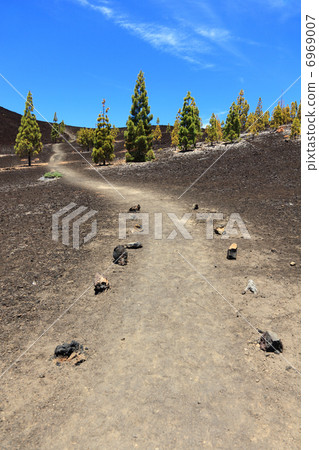 Path for hiking, Tenerife 6969007