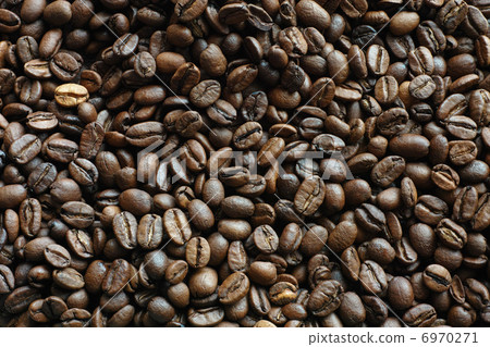 咖啡豆 6970271