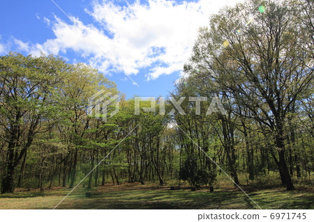 park park 6971745