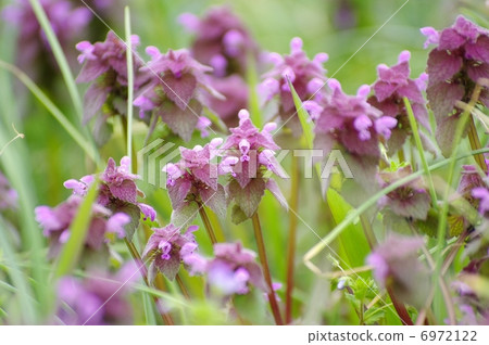 Princess Dancing 6972122