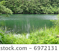 新鮮的綠色池塘 6972131