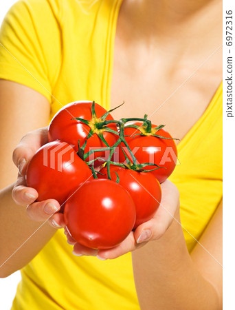 Human hands holding fresh ripe tomatoes Human hands holding fresh ripe tomatoes 6972316