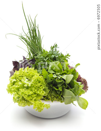 Fresh Green Herbs Fresh Green Herbs 6972505