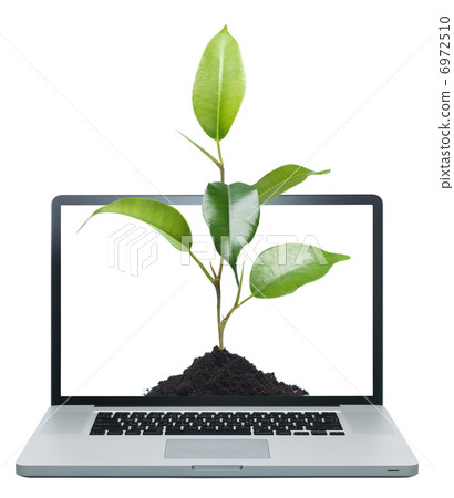 Laptop and green plant isolated on white Laptop and green plant isolated on white 6972510