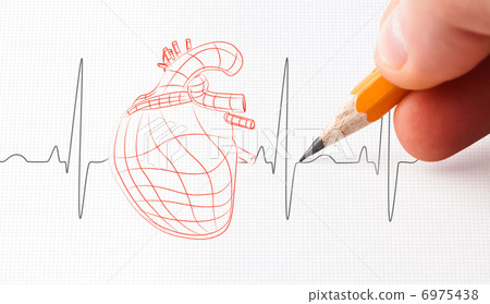 Sketch of a heart and heart rate line 6975438