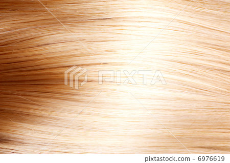Blonde Hair. Blond Hair Texture Blonde Hair. Blond Hair Texture 6976619