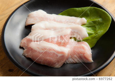 Swine Toro 6977262