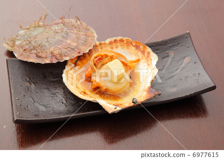 Scallop Scallop 6977615