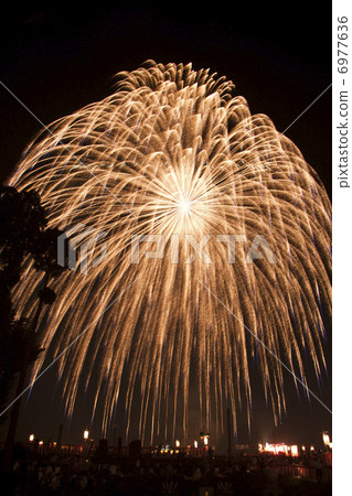 Golden golden scales 6977636