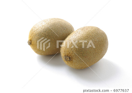 Kiwi Kiwi 6977637
