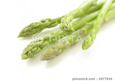 蘆筍 蘆筍 6977644