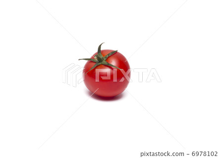 tomato 6978102