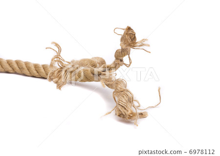 ship rope and knot isolated on white background 6978112