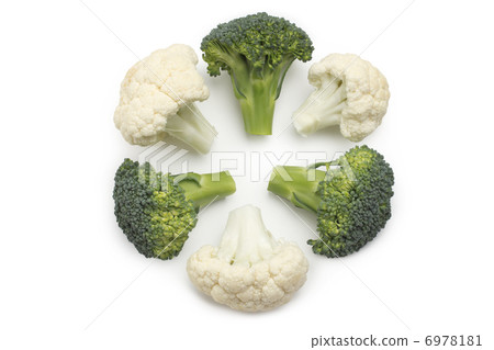 Broccoli isolated on white background Broccoli isolated on white background 6978181