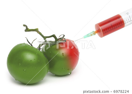 Filed syringe and green with red tomatoes Filed syringe and green with red tomatoes 6978224