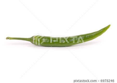 Chili pepper isolated on white background 6978246