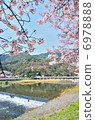 Kyoto Togetsukashi Sakura 6978888