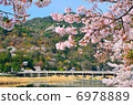 Kyoto Togetsukashi Sakura 6978889