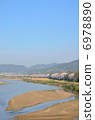 Kyoto backbusters cherry blossoms 6978890