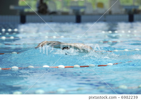 swim pool swim pool 6982239