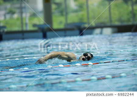 swim pool swim pool 6982244