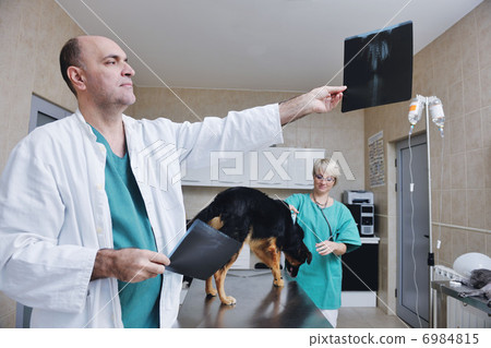 veterinarian and assistant in a small animal clinic 6984815