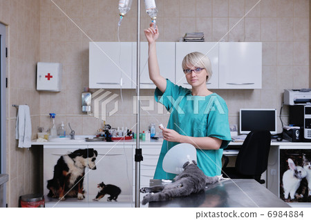 Female veterinary Female veterinary 6984884