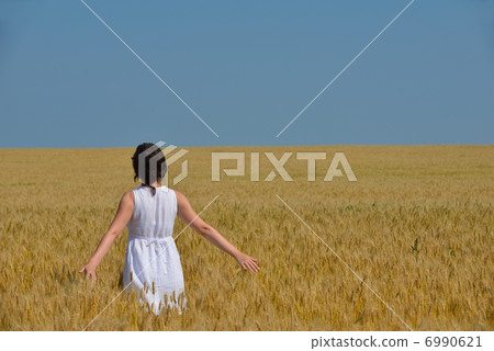 young woman in wheat field at summer young woman in wheat field at summer 6990621