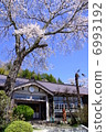 Ibaraki prefecture former Kamioka elementary school front entrance and cherry tree part 2 6993192