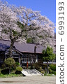 Ibaraki prefecture former Ueno elementary school front entrance and cherry tree part 3 6993193