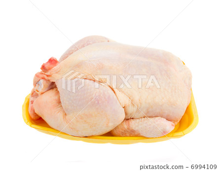 Crude hen on a white background Crude hen on a white background 6994109