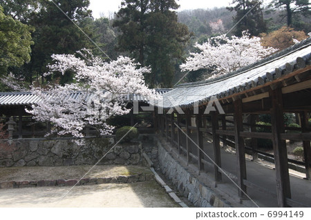 Kibitsu Shrine 6994149