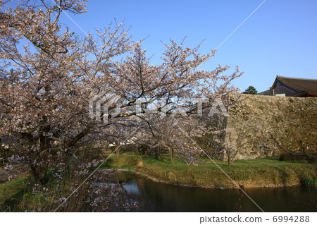 Shinoyama城堡 6994288