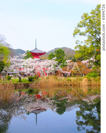 Daikaku-ji in the spring 6994726
