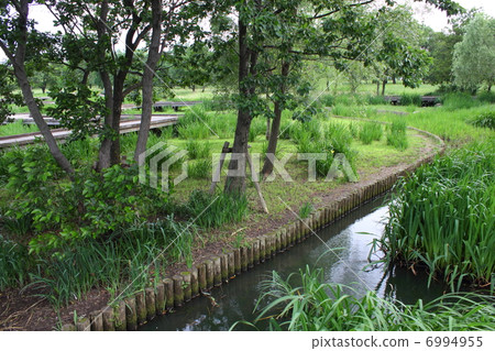 Temple Park · Shobu Field and Waterway 6994955