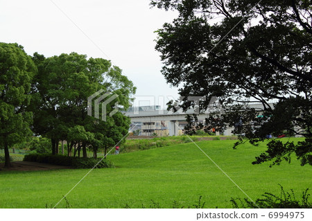 Temple Park · Plaza and Nippori · Territor Liner 6994975