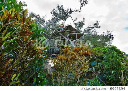 Ryukyu Village Tree House 6995894