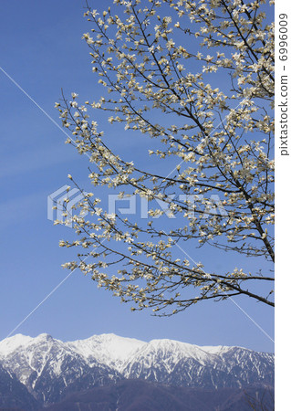 Fist and snow mountain 6996009