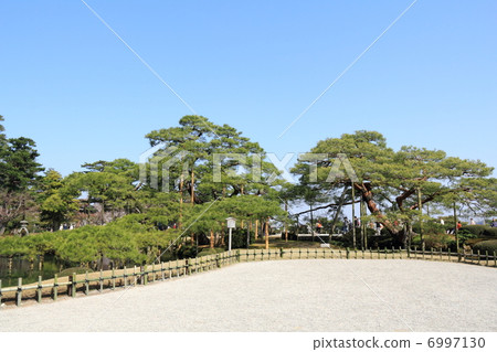 春天Kenrokuen(Karasaki Matsu) 春天Kenrokuen(Karasaki Matsu) 6997130