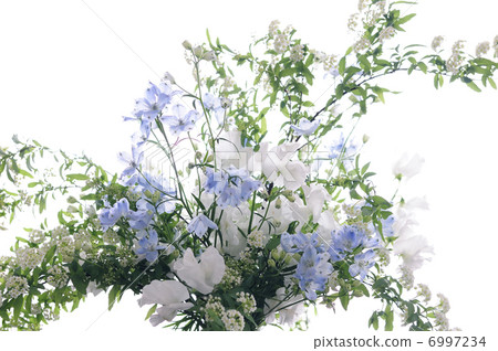 Delfinium, Kodemari, Sweetpee's Flower Arrangement 6997234