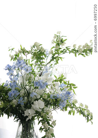 Delfinium，Kodemari，Sweetpee的插花 6997250