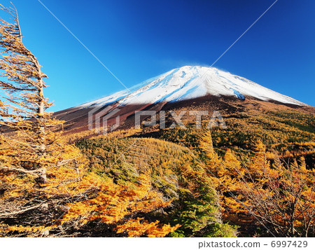 Mt. Fuji in autumn 6997429