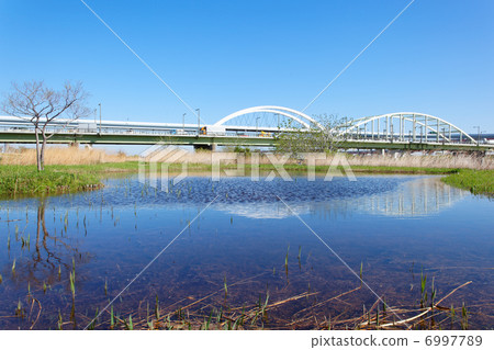 A scenery reflected in the puddle of Goshiki Sakura Ohashi Bridge over Arakawa, Gangbuk Bridge and Kawahara 6997789