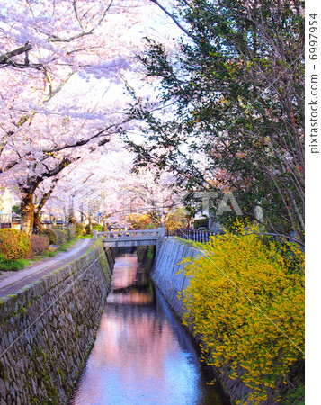 Spring philosophy road Spring philosophy road 6997954