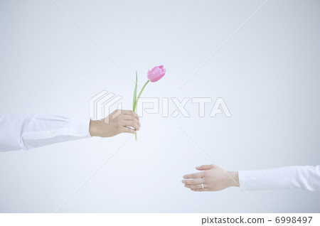 Male and female hands 6998497