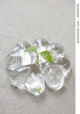 Heart shaped glass and futaba 6998499