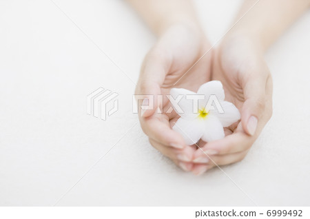 Both hands with flowers 6999492