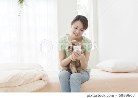A woman sitting on a bed with a toy poodle on his lap A woman sitting on a bed with a toy poodle on his lap 6999603